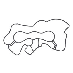 Uszczelka chłodnicy oleju SRP 20459203-SRP