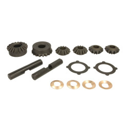Zestaw naprawczy mechanizmu różnicowego CARRARO 66156-CR