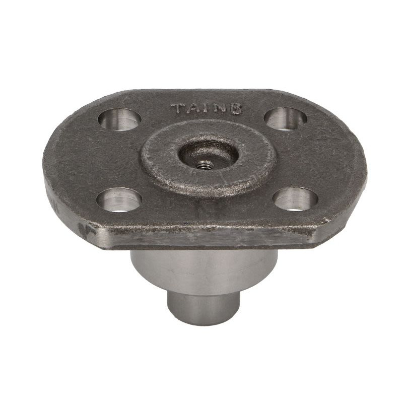 Sworzeń zwrotnicy CARRARO 136276-CR