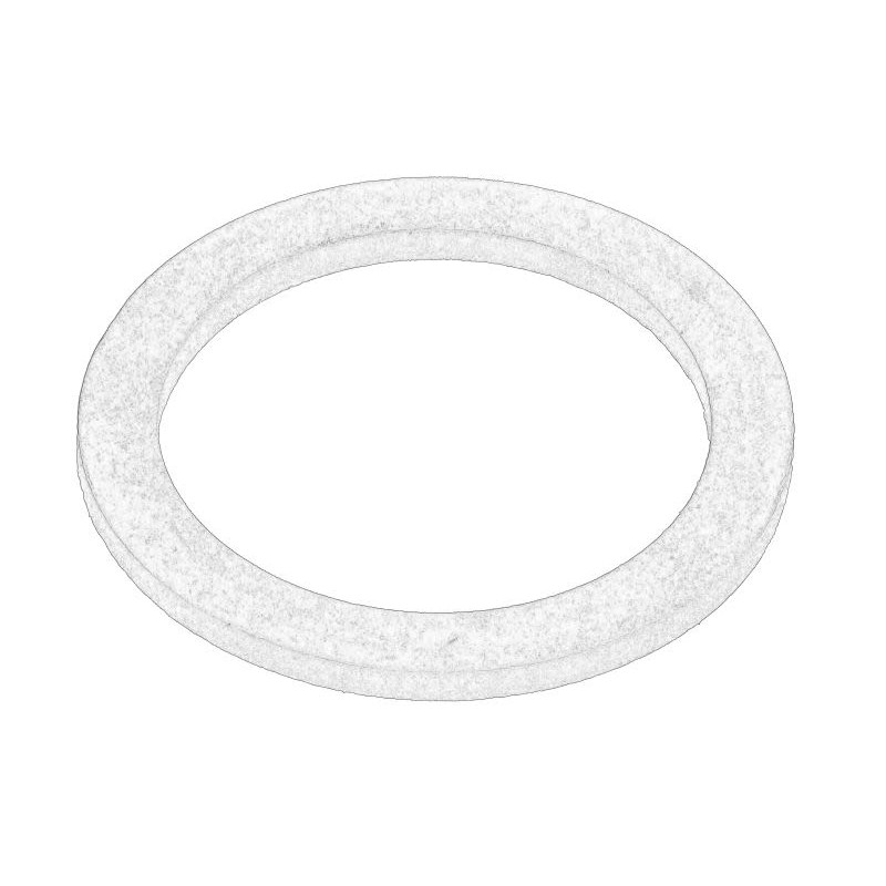 Uszczelka korka spustowego oleju OE AGCO F731200510060-AGCO