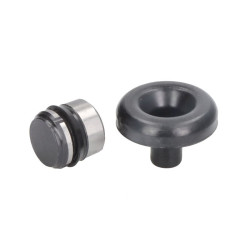 Zestaw naprawczy pompy hamulcowej SBP 12-AG035