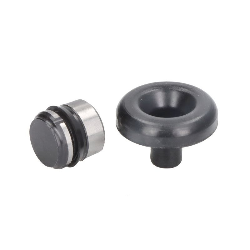 Zestaw naprawczy pompy hamulcowej SBP 12-AG035