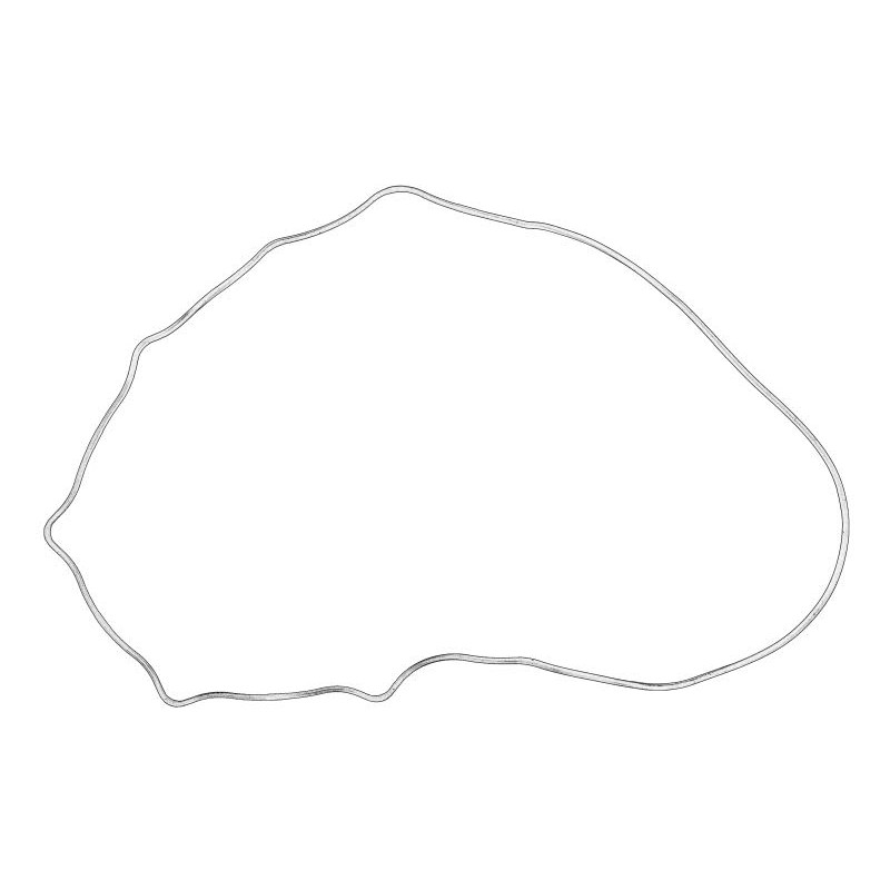 Uszczelka pokrywy zaworów OE YANMAR 129601-11310