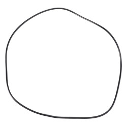 O-RING USZCZELNIAJĄCY ZWOLNICE TYLNEJ OSI 3617901M2