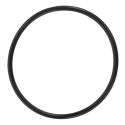 O-RING 1009659M1
